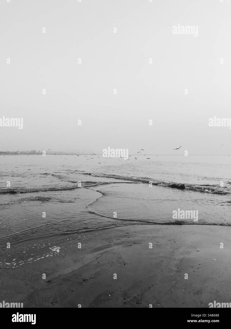Photo en noir et blanc de vagues de plage avec des oiseaux volant en arrière-plan - Image de stock capturée avec un smartphone