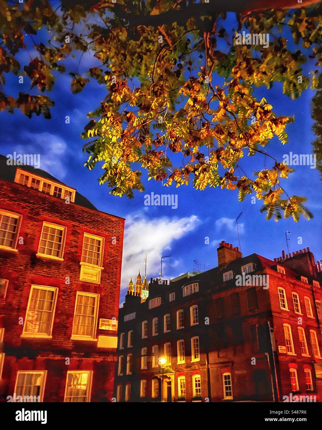 Une vue depuis l’église St John’s à Smith Square, Westminster, Londres SW1 - arbre au premier plan, le Parlement apparaît au-dessus de la ligne du toit. Banque D'Images
