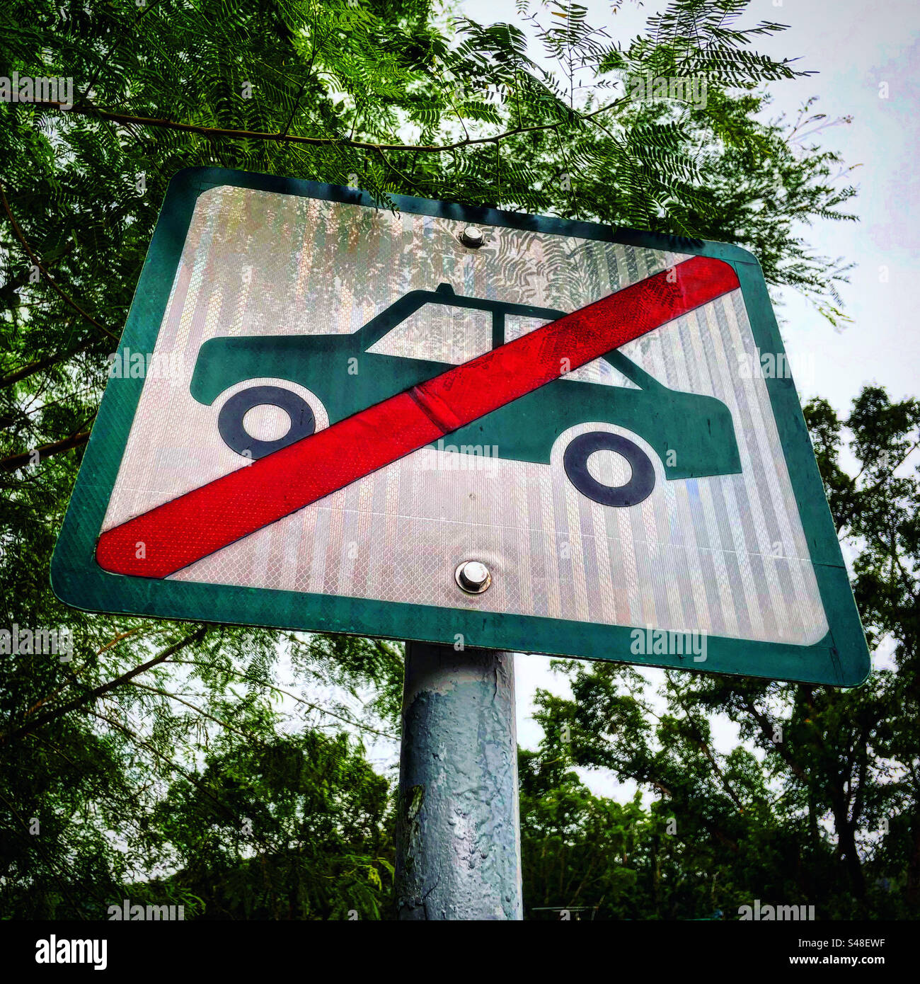 Panneau d'affichage de crapaud sur un fond vert naturel sapin aucune voiture autorisée à entrer ou à se garer ou à entrer. Pas de parking ici Banque D'Images