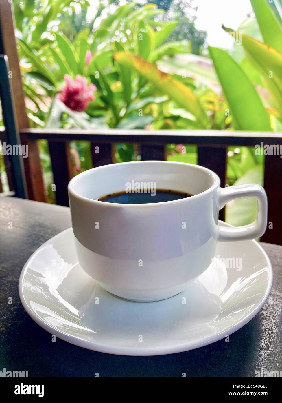 Tasse du matin dans la jungle à la Fortuna, Costa Rica. Banque D'Images
