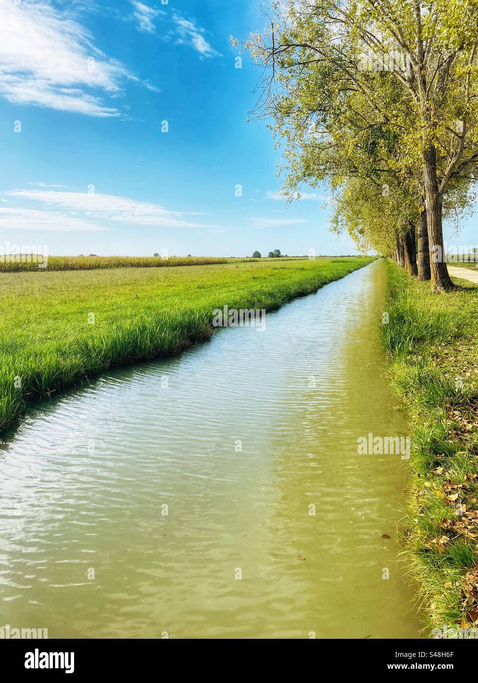 Canal bordé d'arbres ou entrée d'eau à Saint fort sur Gironde avec une variété de teintes vertes. Zone maritime Charente Banque D'Images