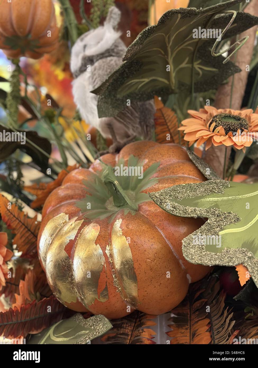 Jardin sur le thème de Thanksgiving avec citrouilles et plantes d'automne Banque D'Images