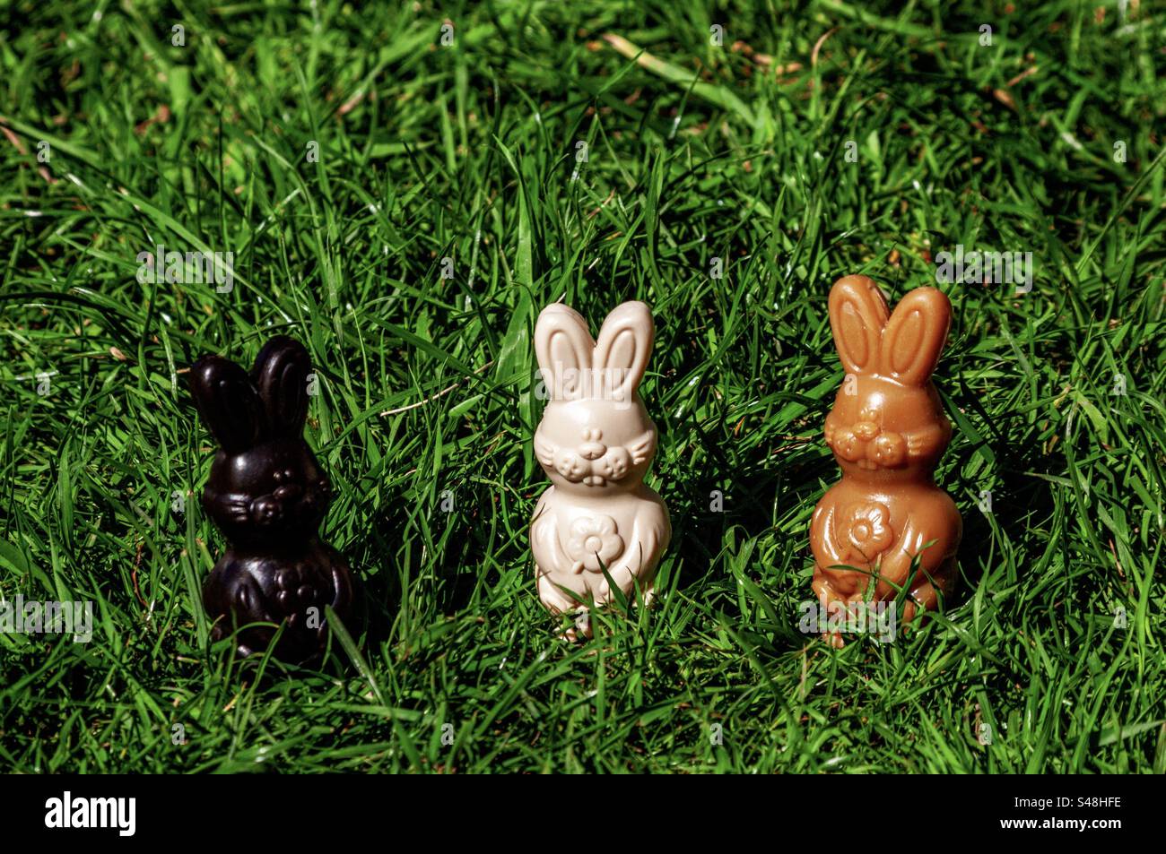 Trois friandises chocolatées au lapin de Pâques. Différentes couleurs, noir, blanc et marron. Dehors sur l'herbe de pelouse dans le jardin au printemps. Banque D'Images