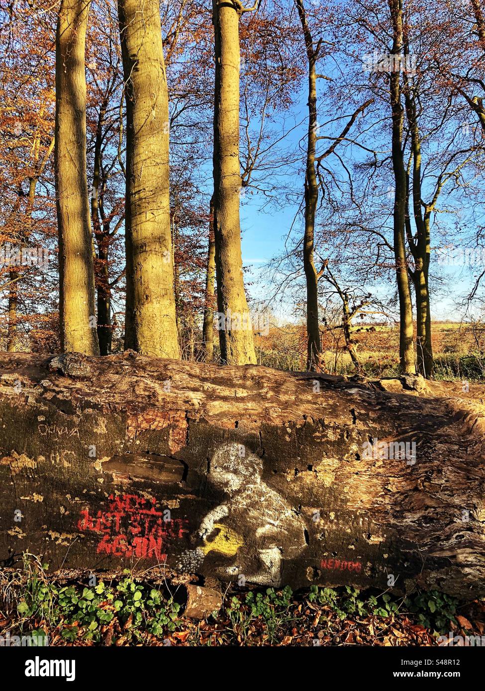 Peinture murale sur arbre tombé par “Hendog”, artiste de rue anonyme basé dans le Hampshire au sommet de St Catherine's Hill, Winchester, Hampshire, Royaume-Uni - Image de stock capturée avec un smartphone