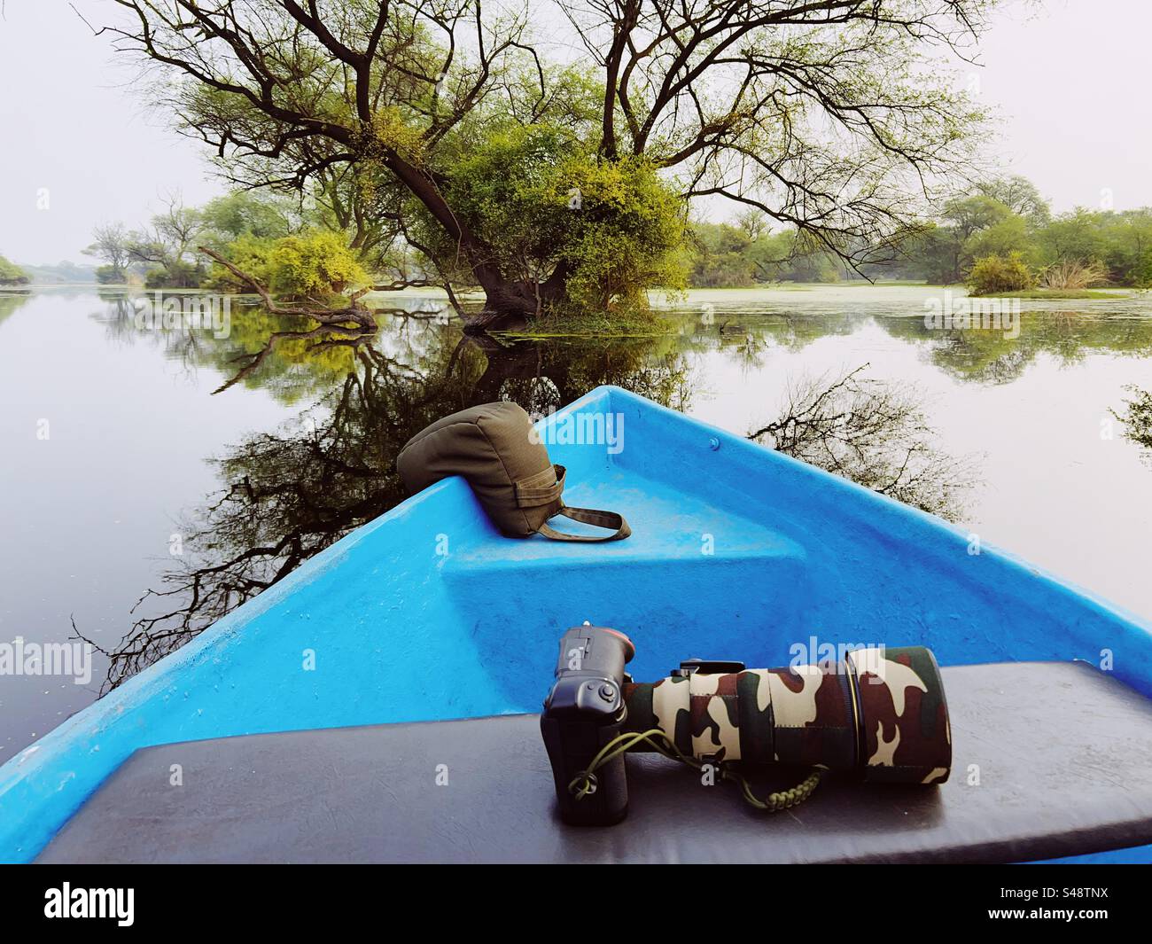 Un bateau bleu avec un appareil photo reflex numérique avec téléobjectif et sac de haricots sur un bateau dans un canal dans une jungle pleine d'arbres et de leur reflet Banque D'Images