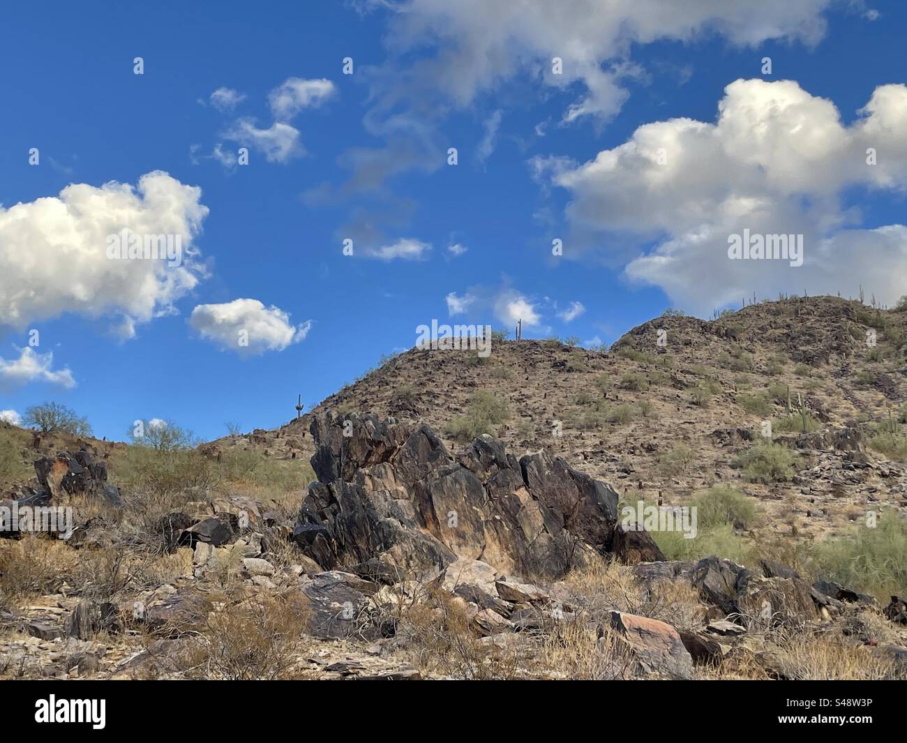 Ciel bleu et nuages moelleux, cactus Saguaro, affleurements rocheux, désert de Sonoran, réserve des montagnes Phoenix, Arizona Banque D'Images