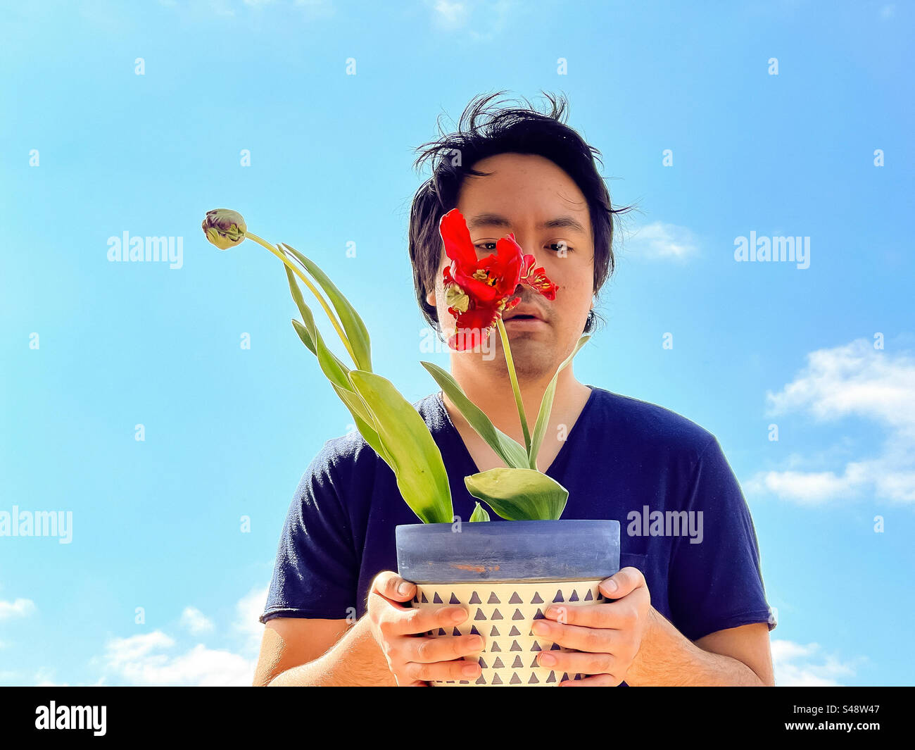 Jeune homme asiatique tenant un pot de fleurs avec une fleur de tulipe de perroquet rouge et bourgeon de fleur contre le ciel bleu sur une journée ensoleillée de printemps avec espace de copie. Banque D'Images