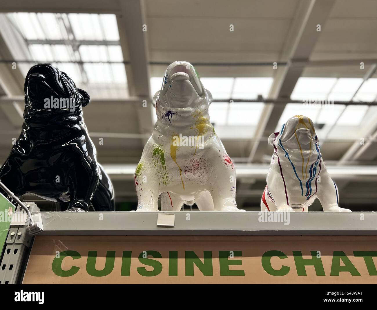 Plan de trois chiens bulldogs alignés sur une étagère de supermarché sous l'allée des aliments pour chats. Banque D'Images