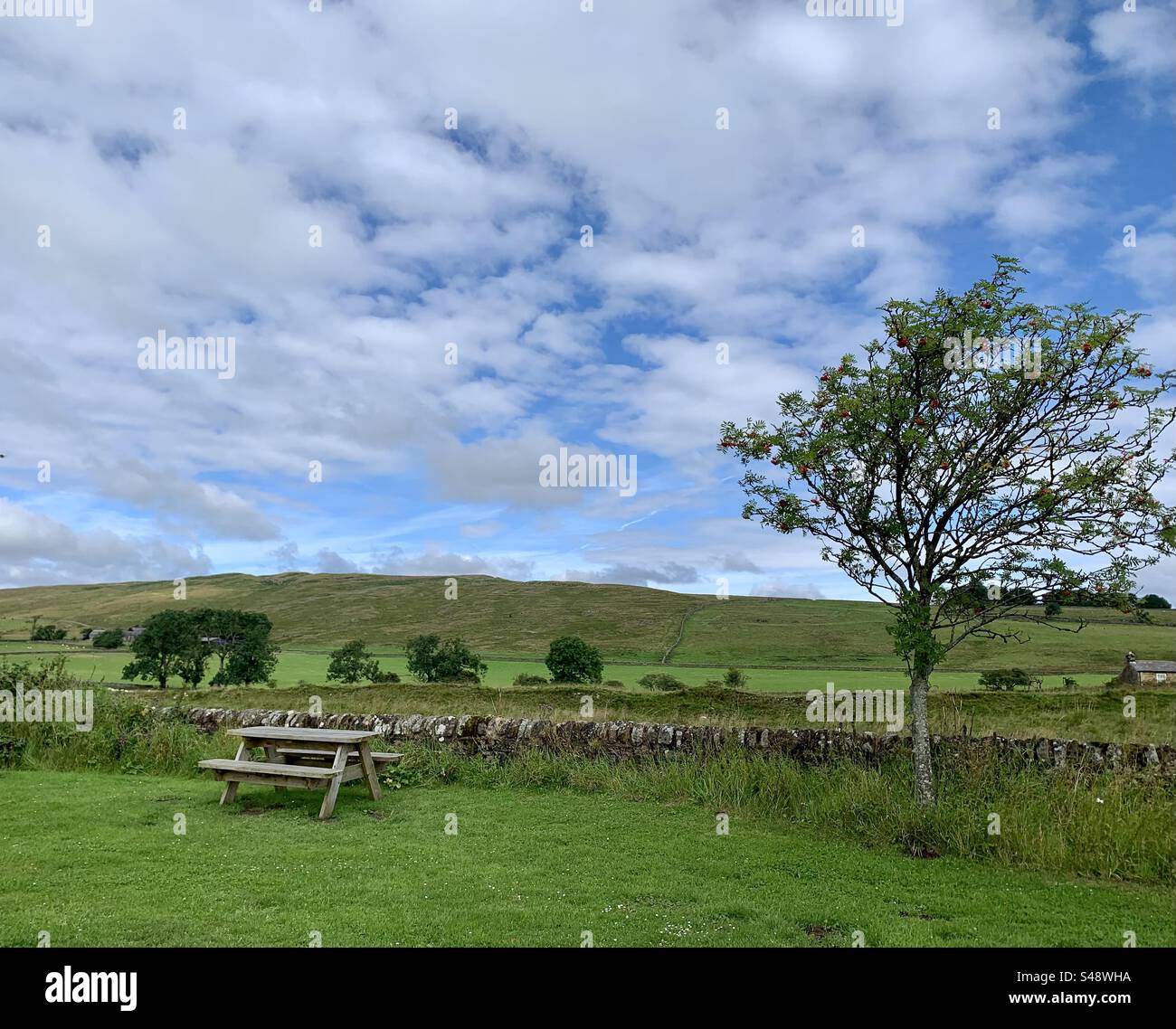 Table de pique-nique avec vue sur les collines verdoyantes et les murs en pierre sèche dans le Northumberland Banque D'Images