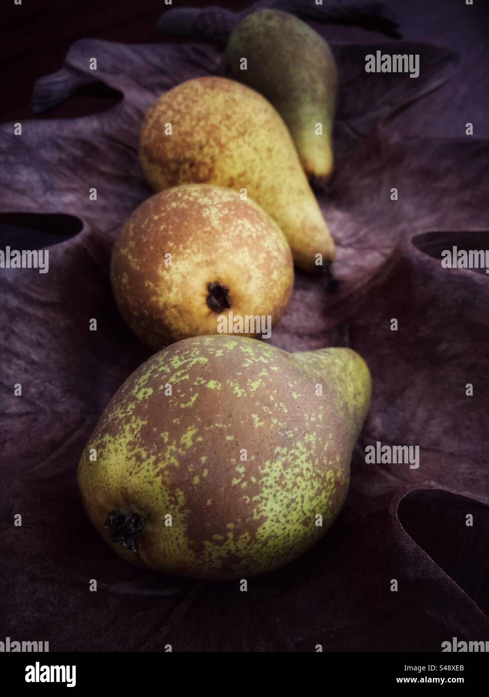 Poires de conférence dans un bol en feuilles de bois. Banque D'Images