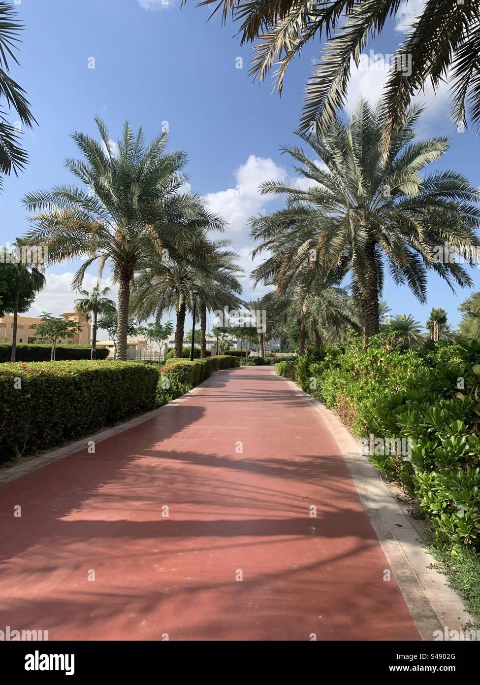 Une piste de course à Al Barsha Pond Park, Dubai, Émirats Arabes Unis Banque D'Images