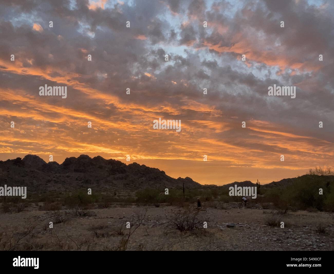 Réserve de Phoenix Mountains, coucher de soleil, désert de Sonora, Arizona Banque D'Images