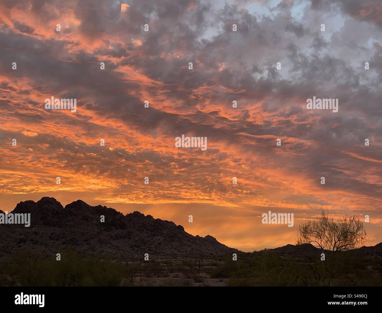 Tirage de rêve, réserve des montagnes Phoenix, coucher de soleil, désert de Sonora, Arizona Banque D'Images
