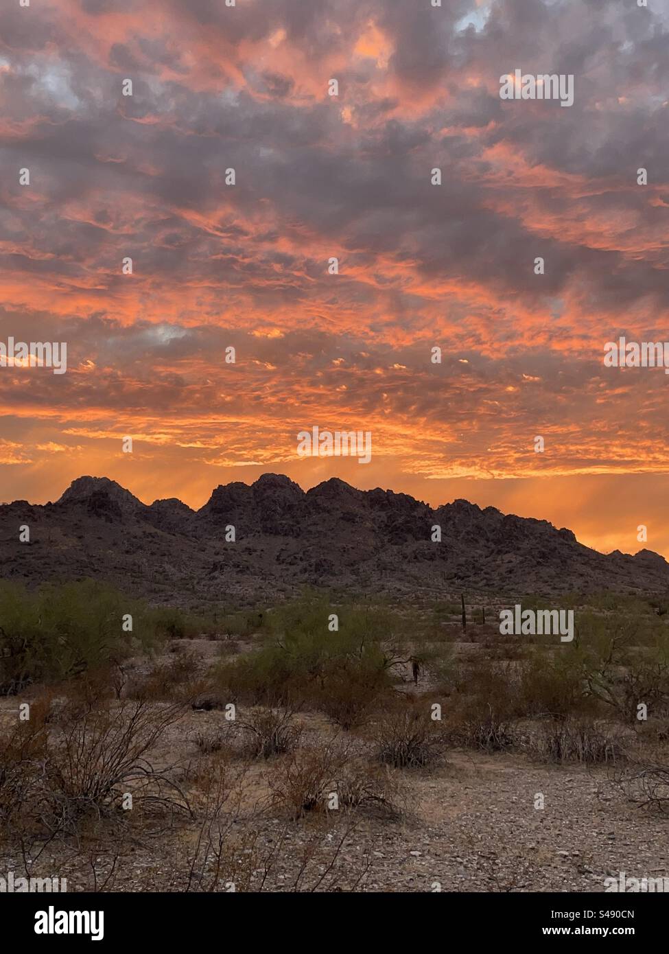 Tirage de rêve, réserve des montagnes Phoenix, coucher de soleil, désert de Sonora, Arizona Banque D'Images