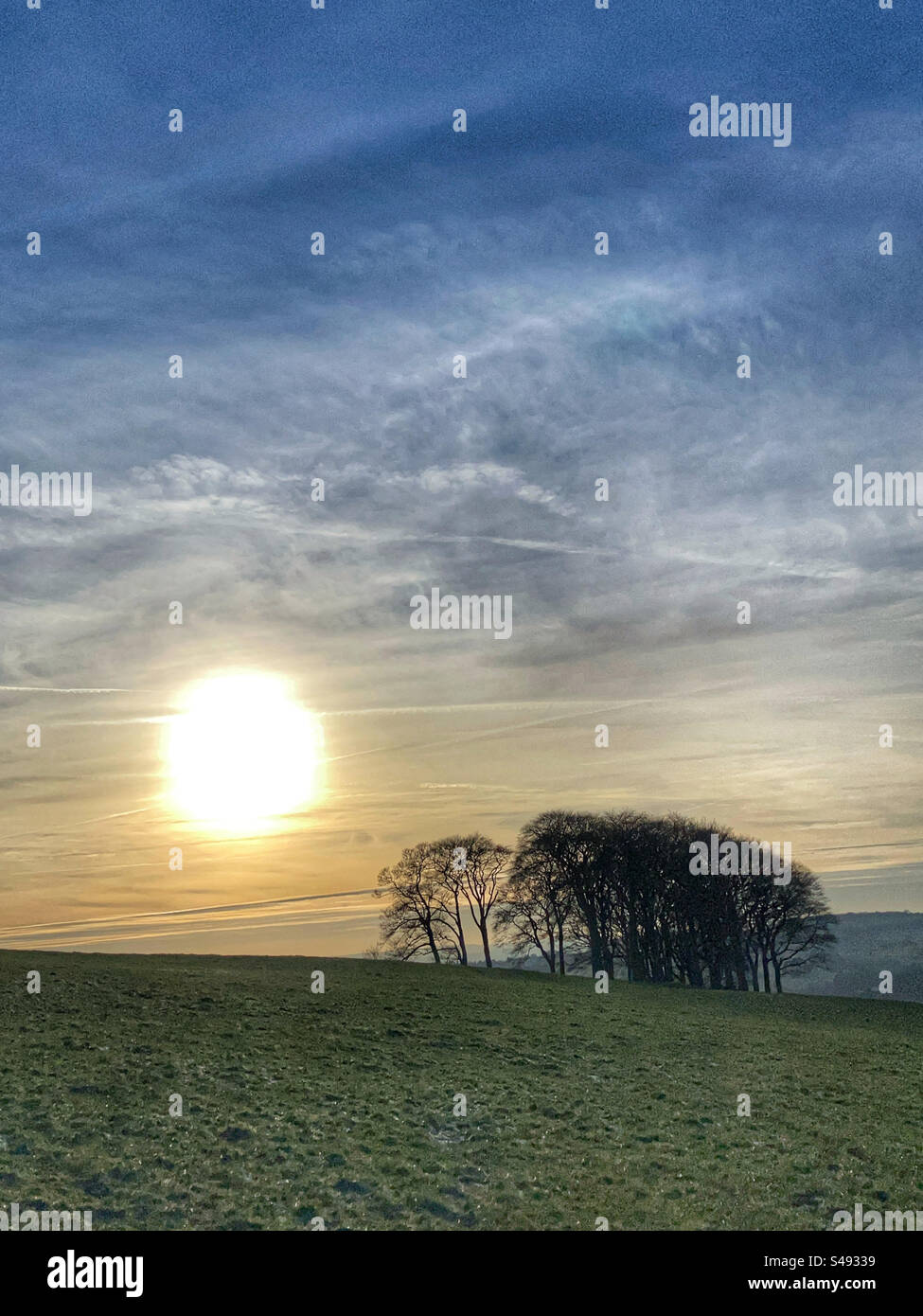 Coucher de soleil derrière les éléphants dans Guiseley West Yorkshire - Image de stock capturée avec un smartphone