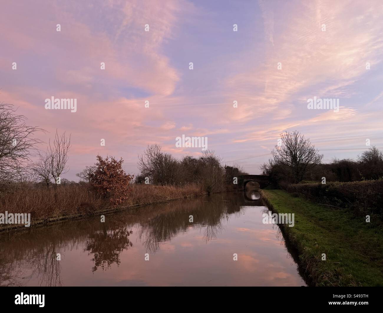 Arbres, reflet, ciel rose, canal, eau, pont Banque D'Images