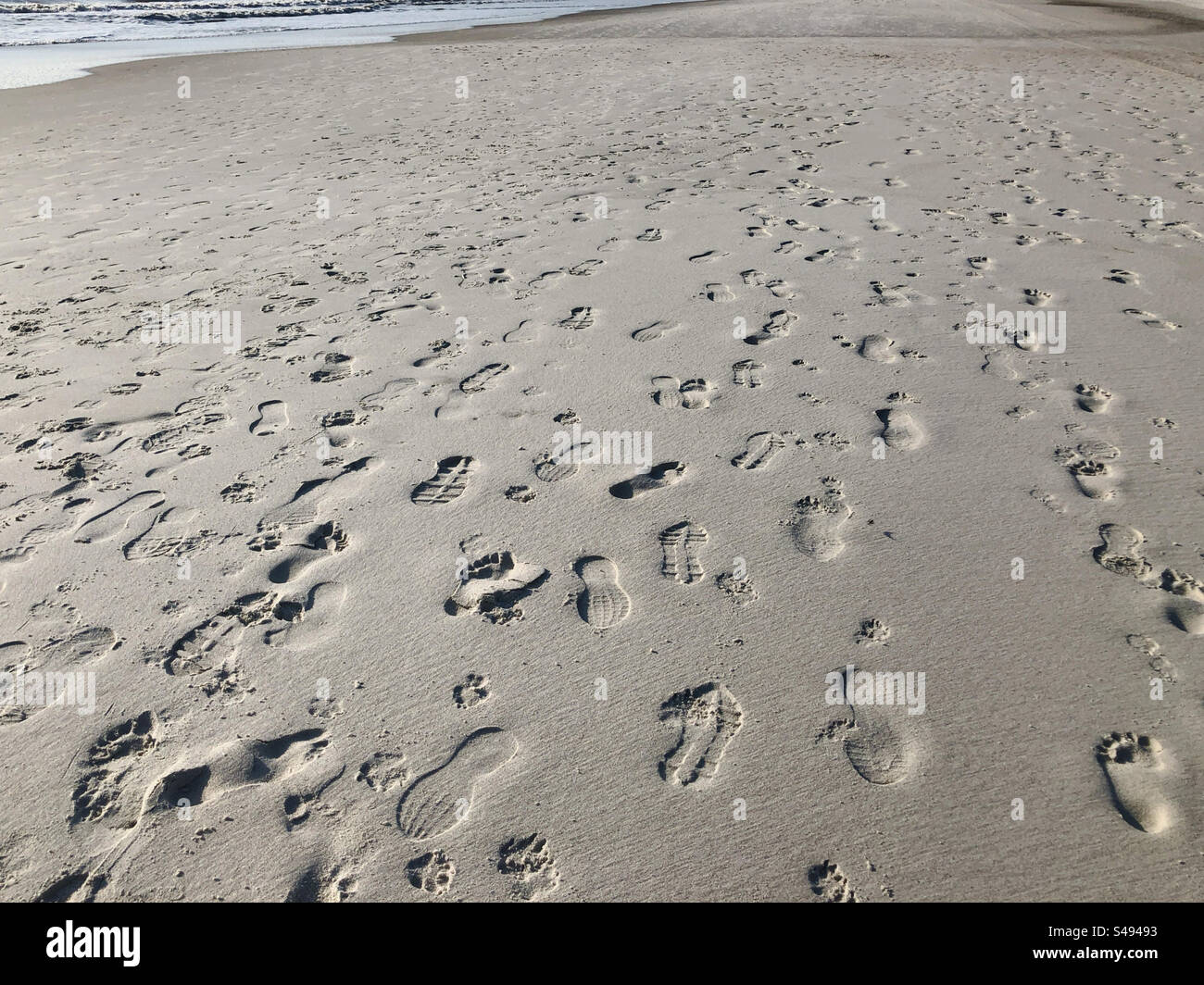 De nombreuses empreintes de pas et empreintes de pattes dans le sable à Atlantic Beach, Floride, États-Unis. - Image de stock capturée avec un smartphone