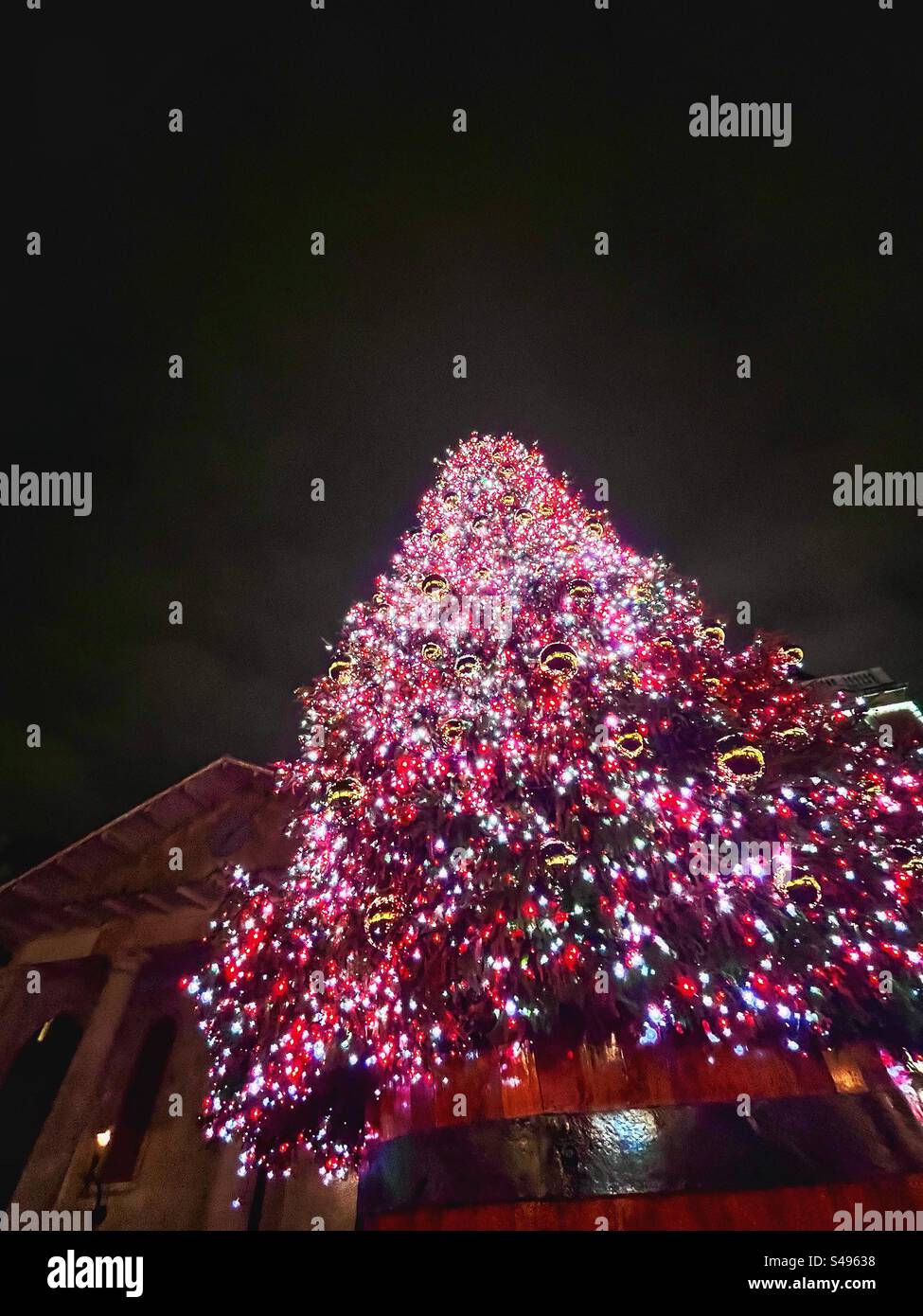 Arbre de Noël géant dans un tonneau avec des lumières de fée avec l'église des acteurs en arrière-plan. Covent Garden la nuit - Image de stock capturée avec un smartphone