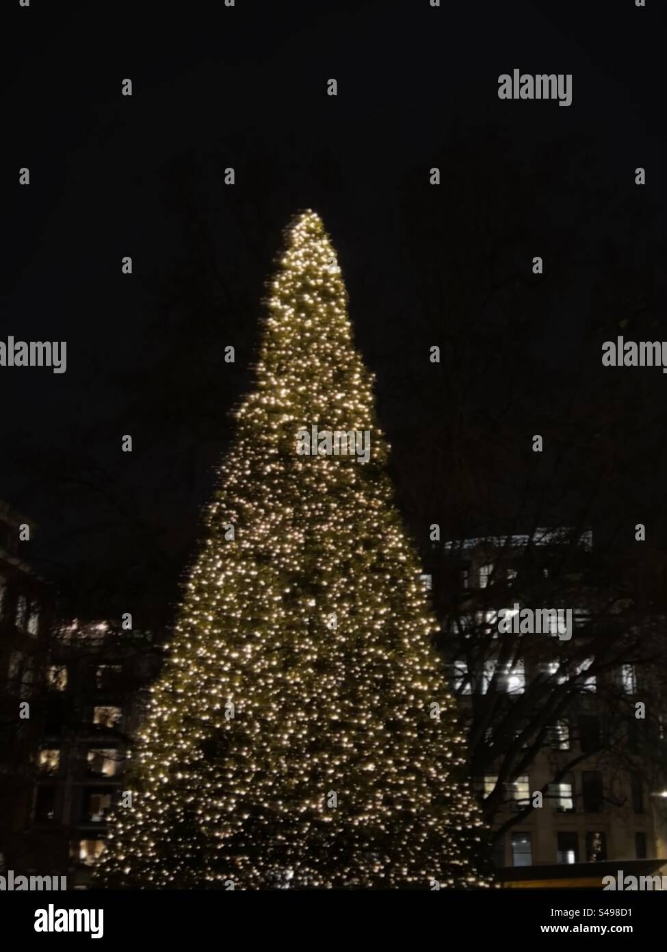 Arbre de Noël à Londres près de St Paul’s - décembre 2022 Banque D'Images