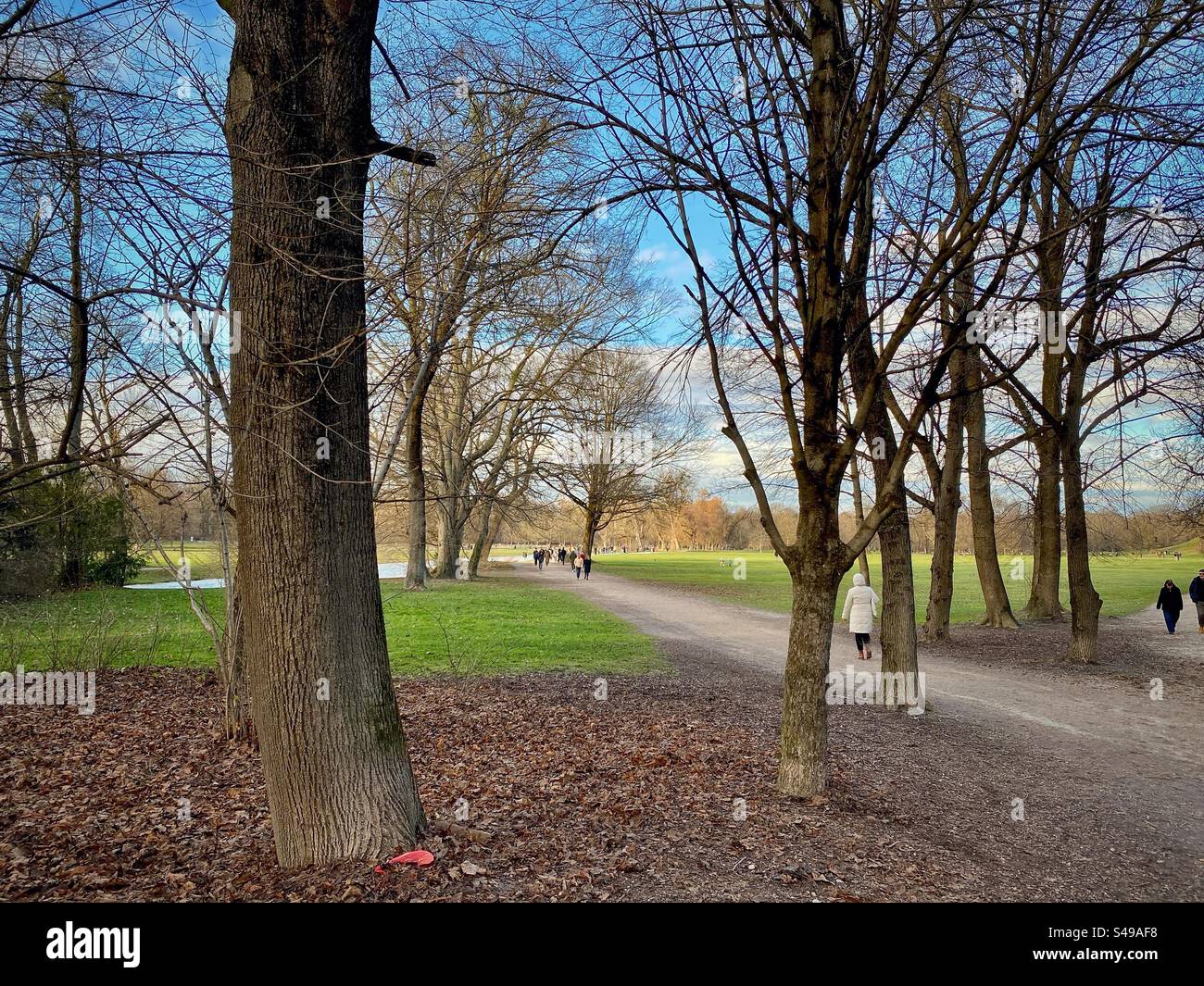 Les gens marchant dans le parc de la ville English Garden un jour d'hiver à Munich, en Allemagne. - Image de stock capturée avec un smartphone