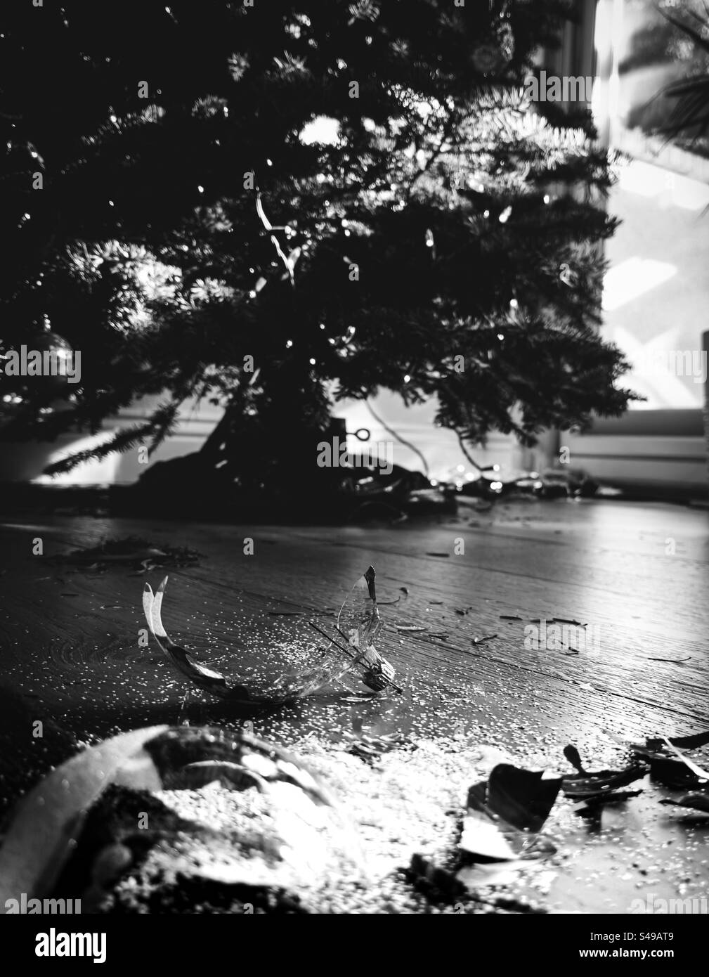 Vue rapprochée d'une boule de Noël en verre brisée devant le sapin de Noël. Banque D'Images