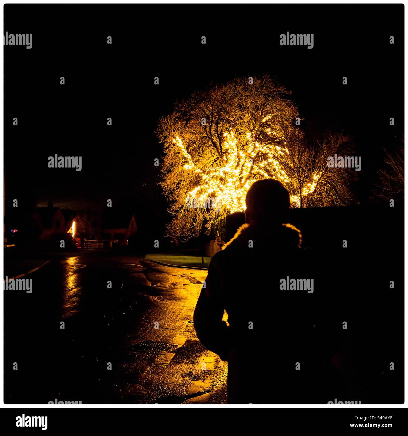 Femme regardant l'arbre décoré de couleurs vives - Image de stock capturée avec un smartphone
