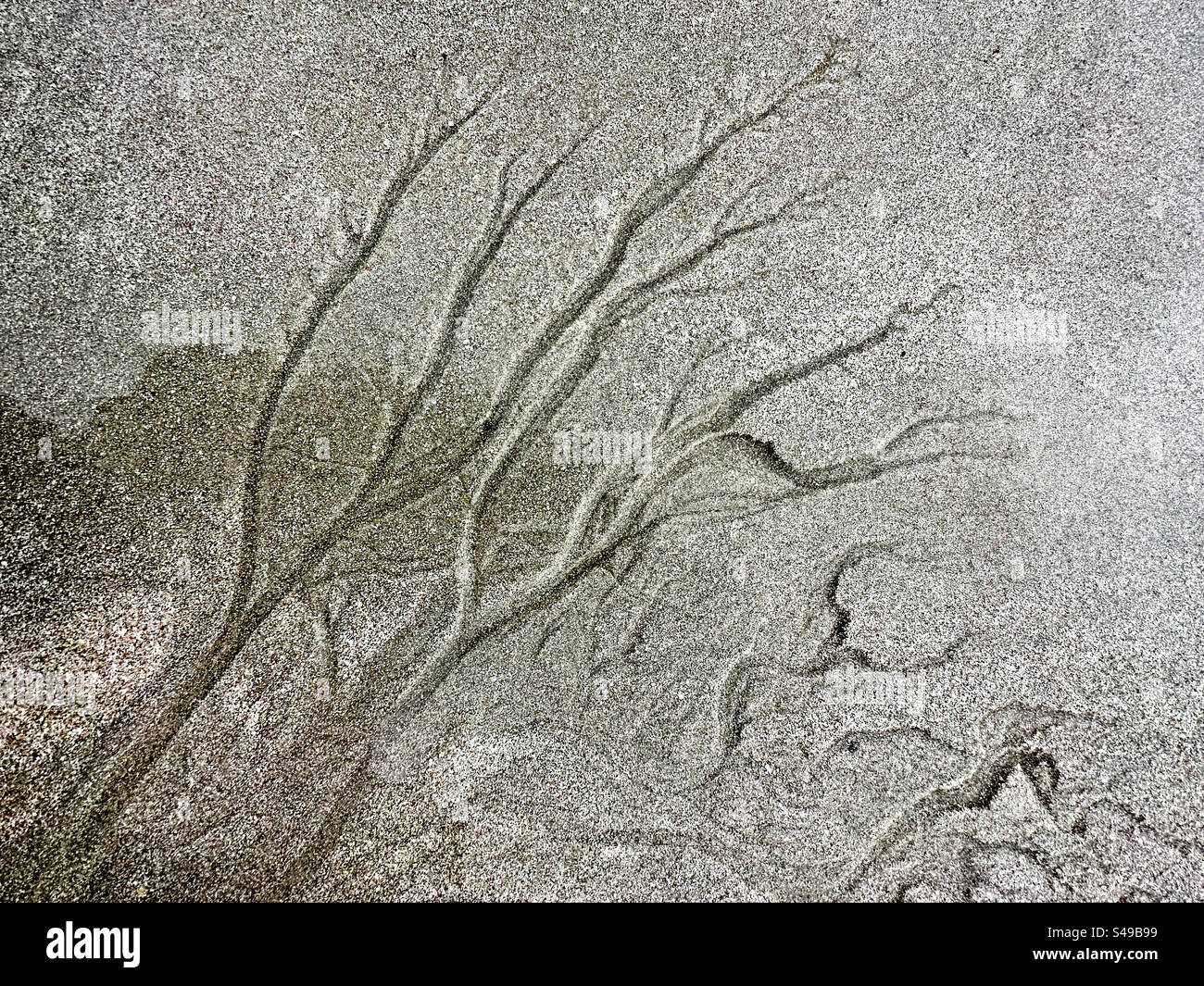 Gros plan de motifs dans le sable dans la plage faite par marée de reflux Banque D'Images