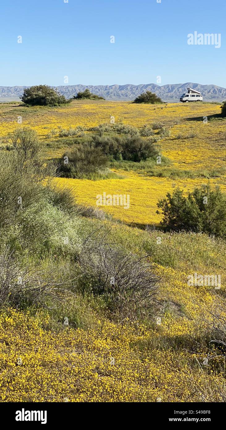 Camping-car dans Super Bloom de Carrizo Plain, Californie Banque D'Images