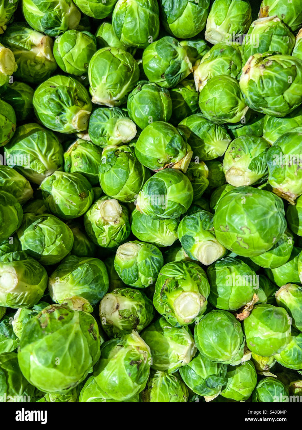Choux de Bruxelles - Image de stock capturée avec un smartphone
