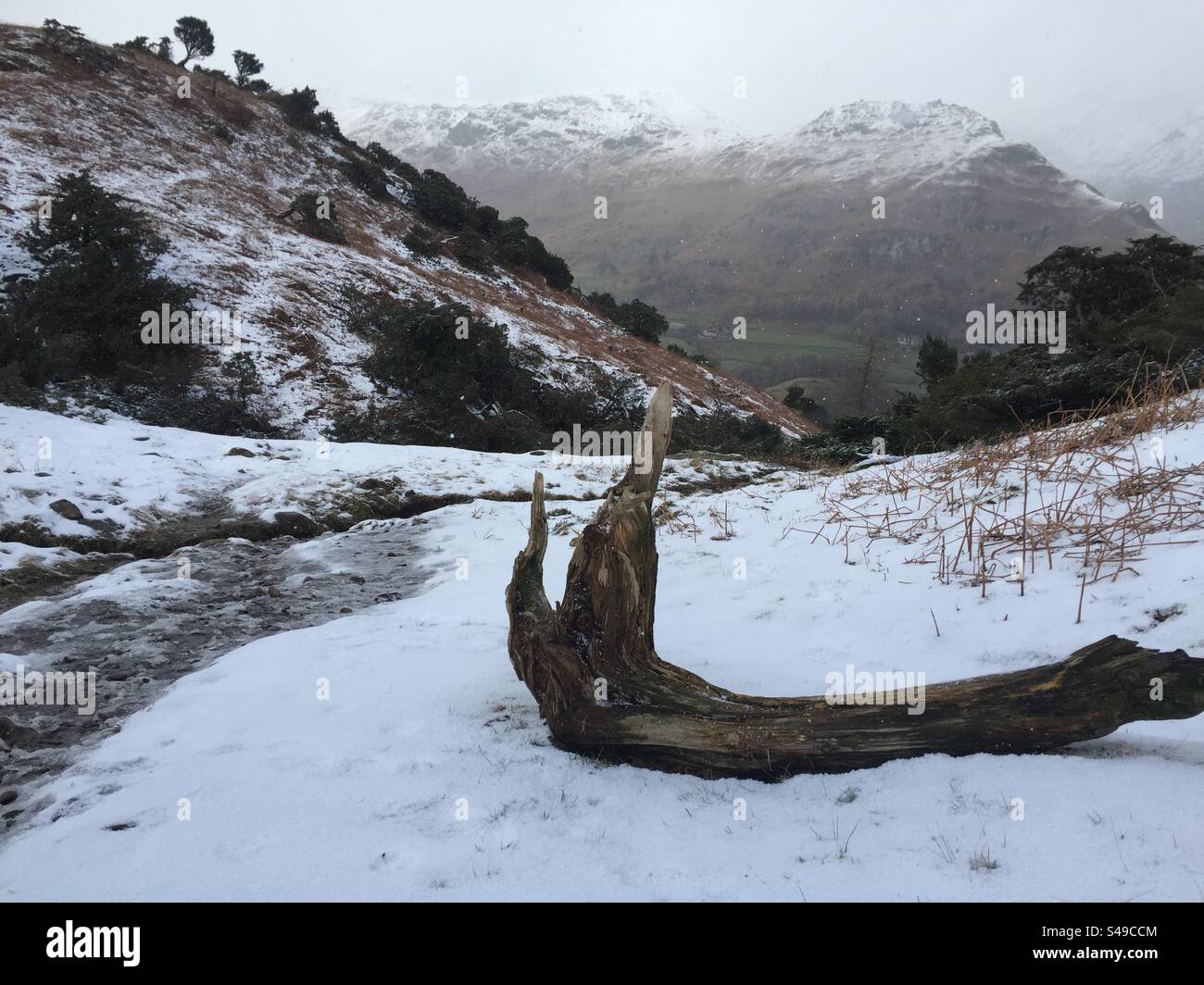 Scène hivernale du Lake District avec bûche Banque D'Images