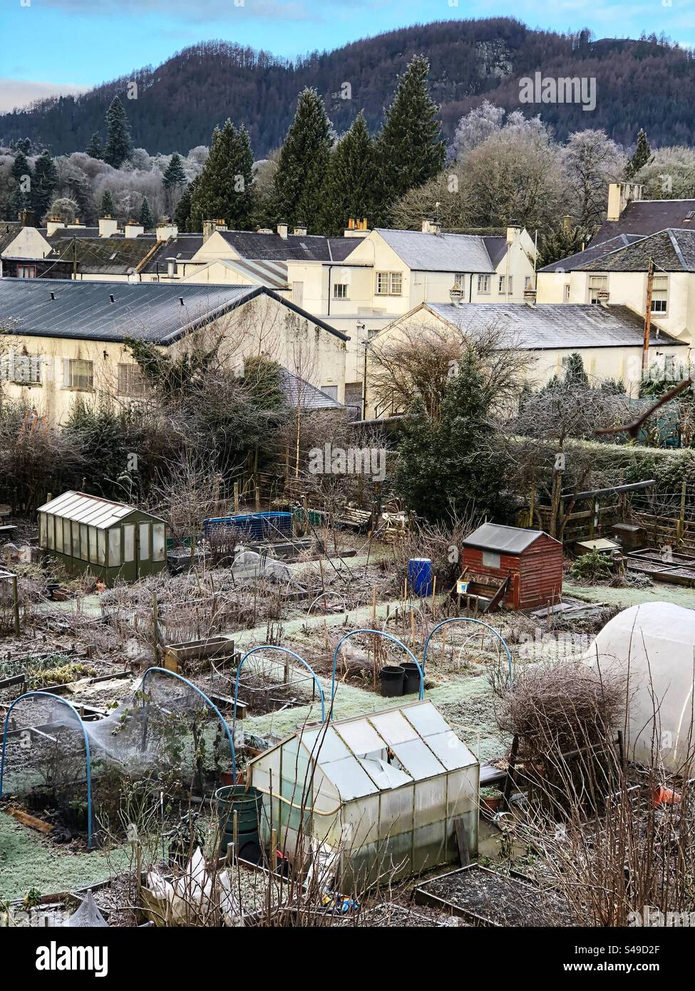 Allotments givrés, Dunkeld Écosse - Image de stock capturée avec un smartphone