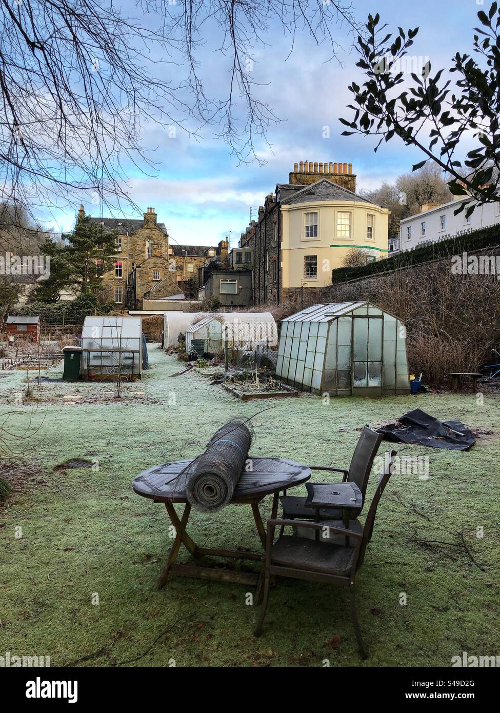 Allotments givrés, Dunkeld Écosse - Image de stock capturée avec un smartphone