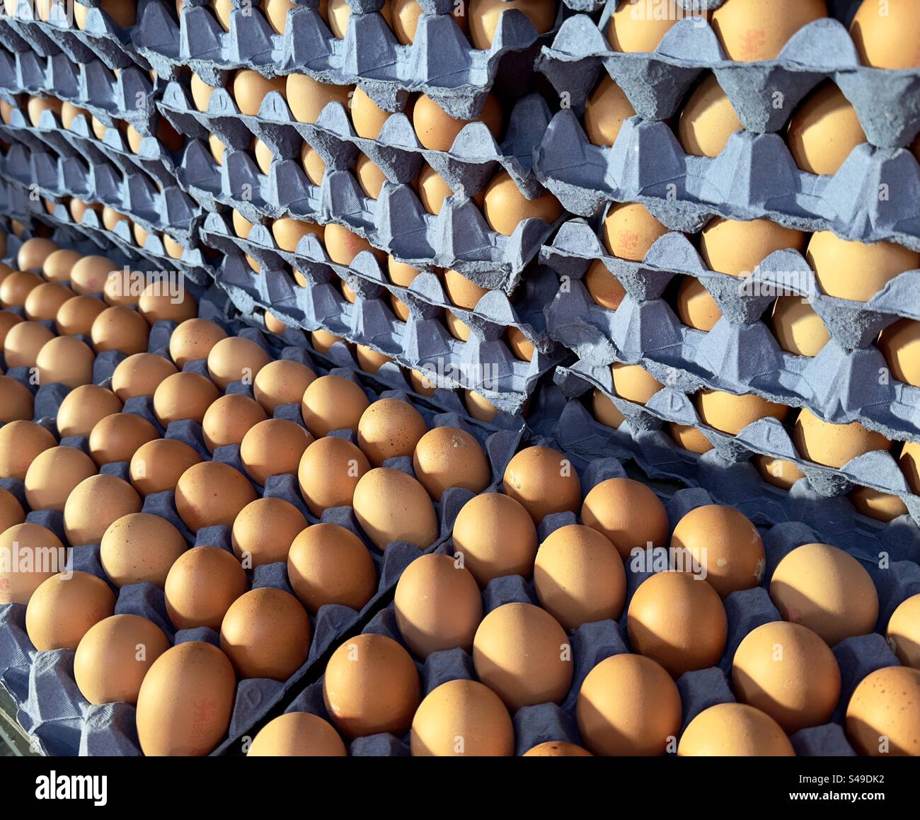 Oeufs de poule reposant dans des plateaux bleu papier mâché à vendre dans un magasin de ferme du Worcestershire Banque D'Images