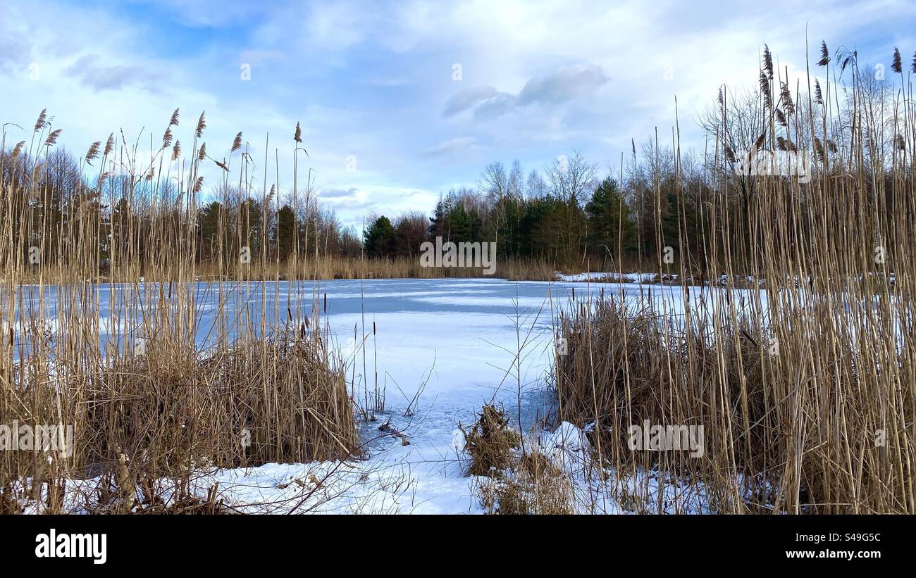 nature hivernale, un lac gelé - Image de stock capturée avec un smartphone