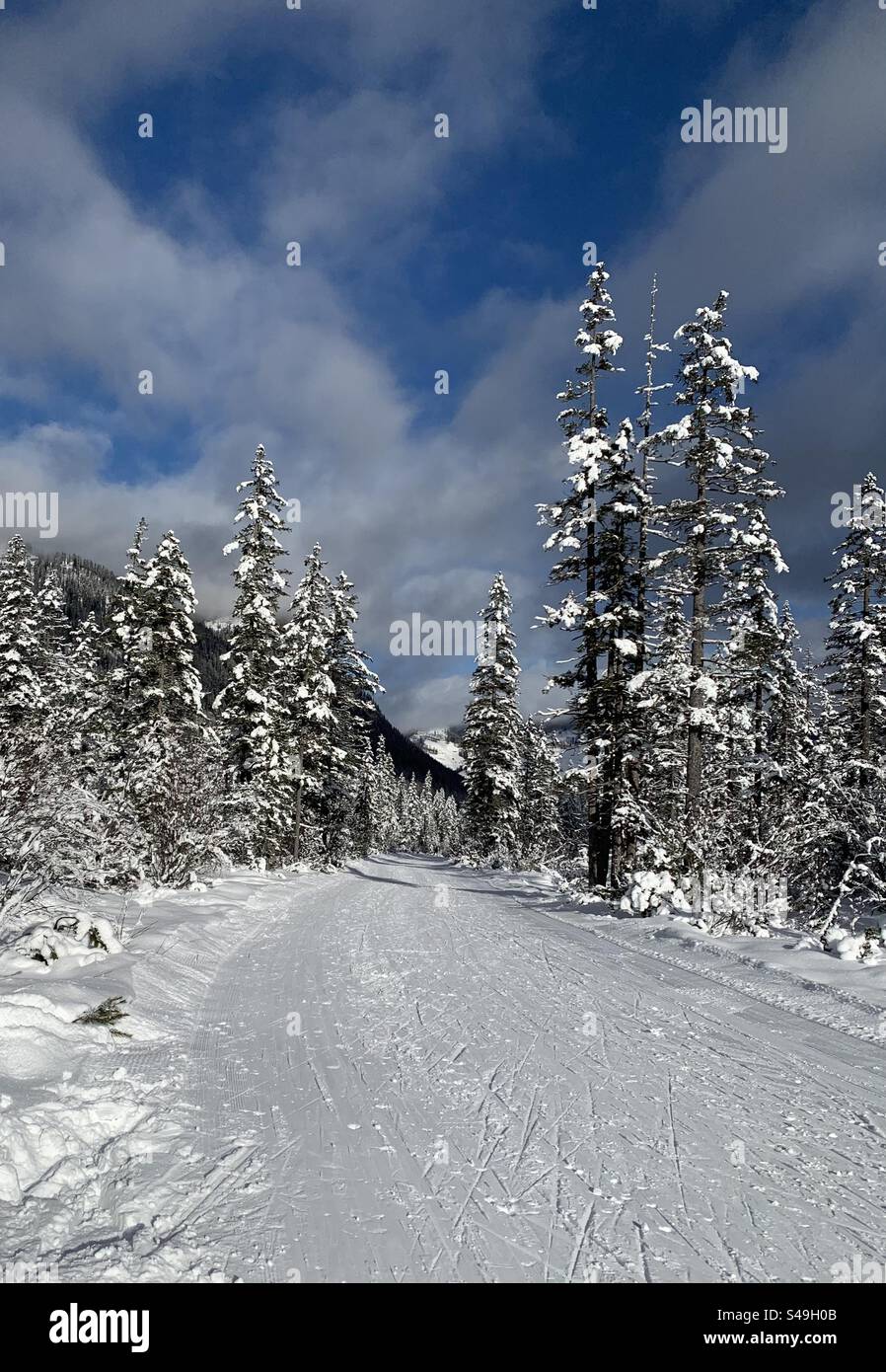 Piste de ski à Val Fiscalina, Italie. - Image de stock capturée avec un smartphone