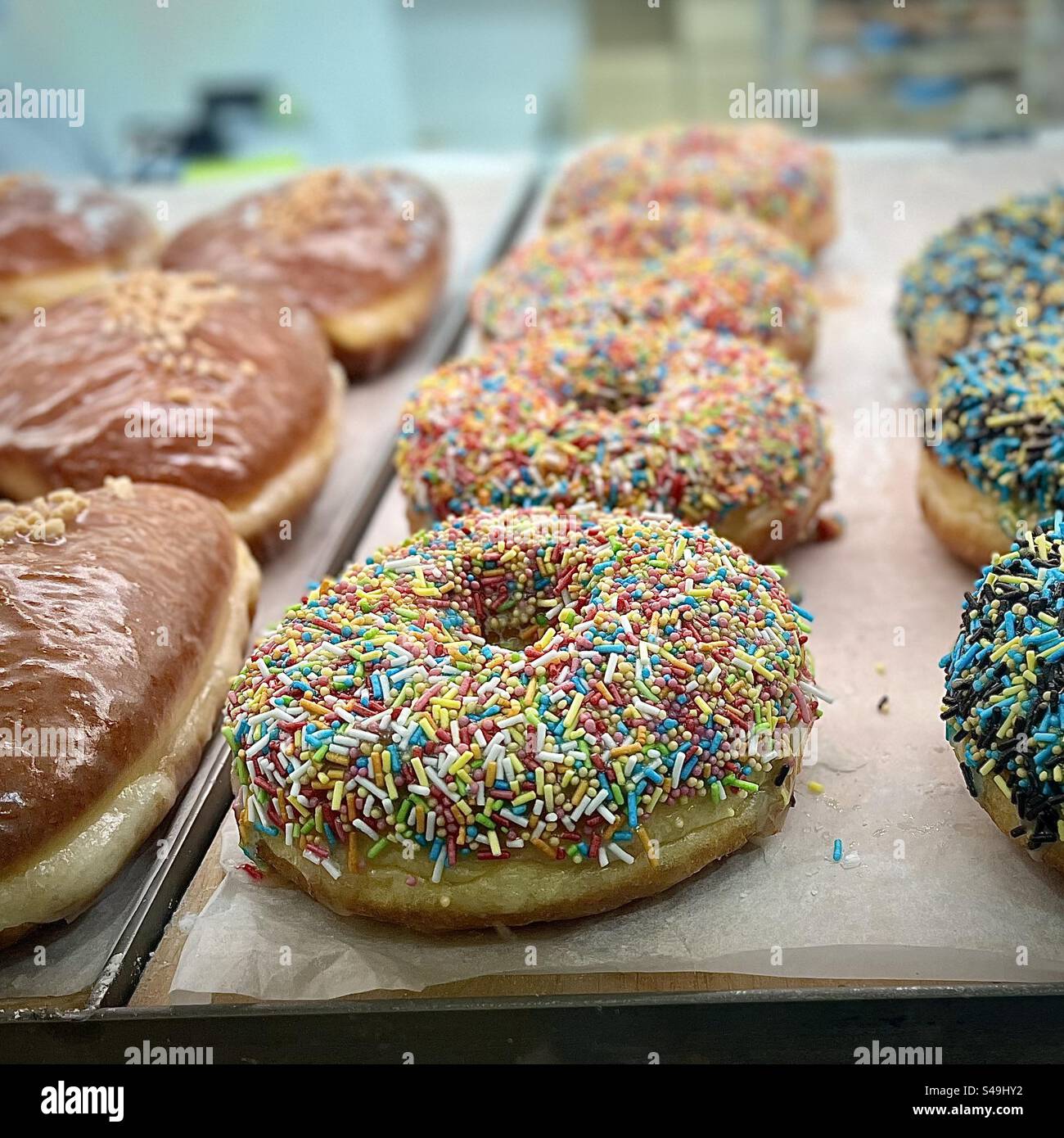 Beignets polonais ‚Pączki’ 🍩 vous pouvez les acheter dans la gare de Wroclaw! Banque D'Images