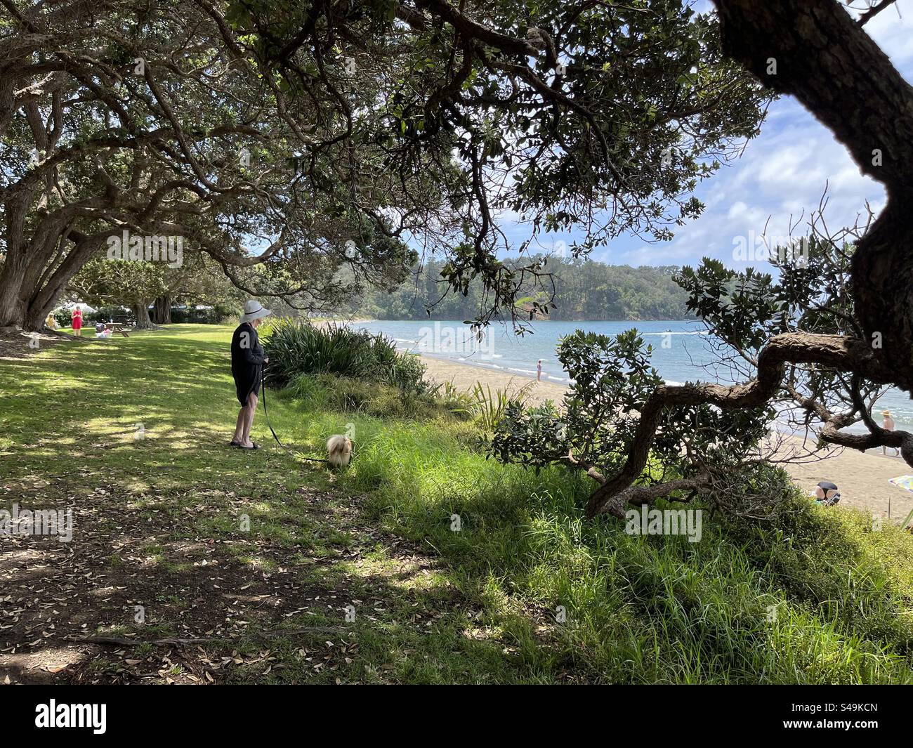 Femme avec petit chien sur la plage Snells Beach Auckland NZ - Image de stock capturée avec un smartphone