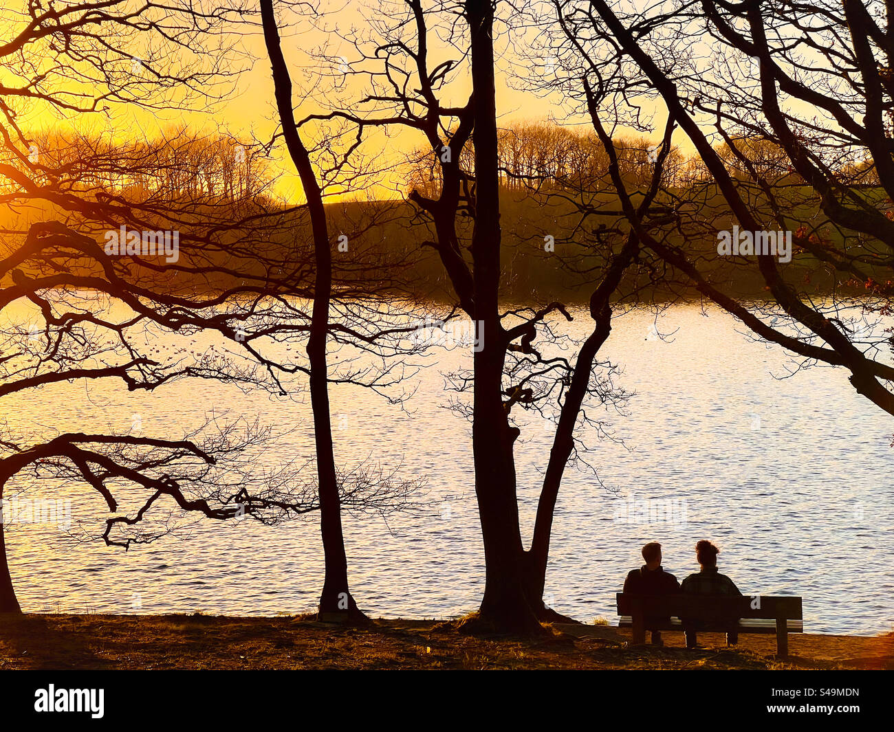 Couple assis sur le banc parmi les arbres près du réservoir Rivington regardant le coucher du soleil. Rivington près de Chorley dans le Lancashire. Banque D'Images