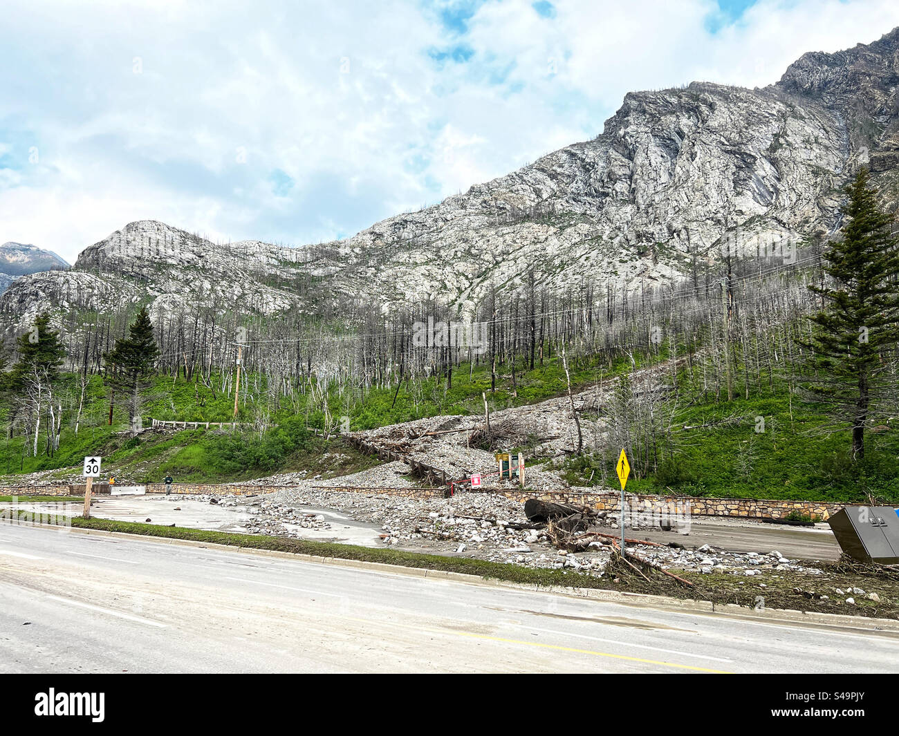 Dégâts causés par la boue et les glissements de pierres sur le sentier Bears Hump dans le parc national des Lacs-Waterton, Alberta, Canada. Juin 2023. Banque D'Images