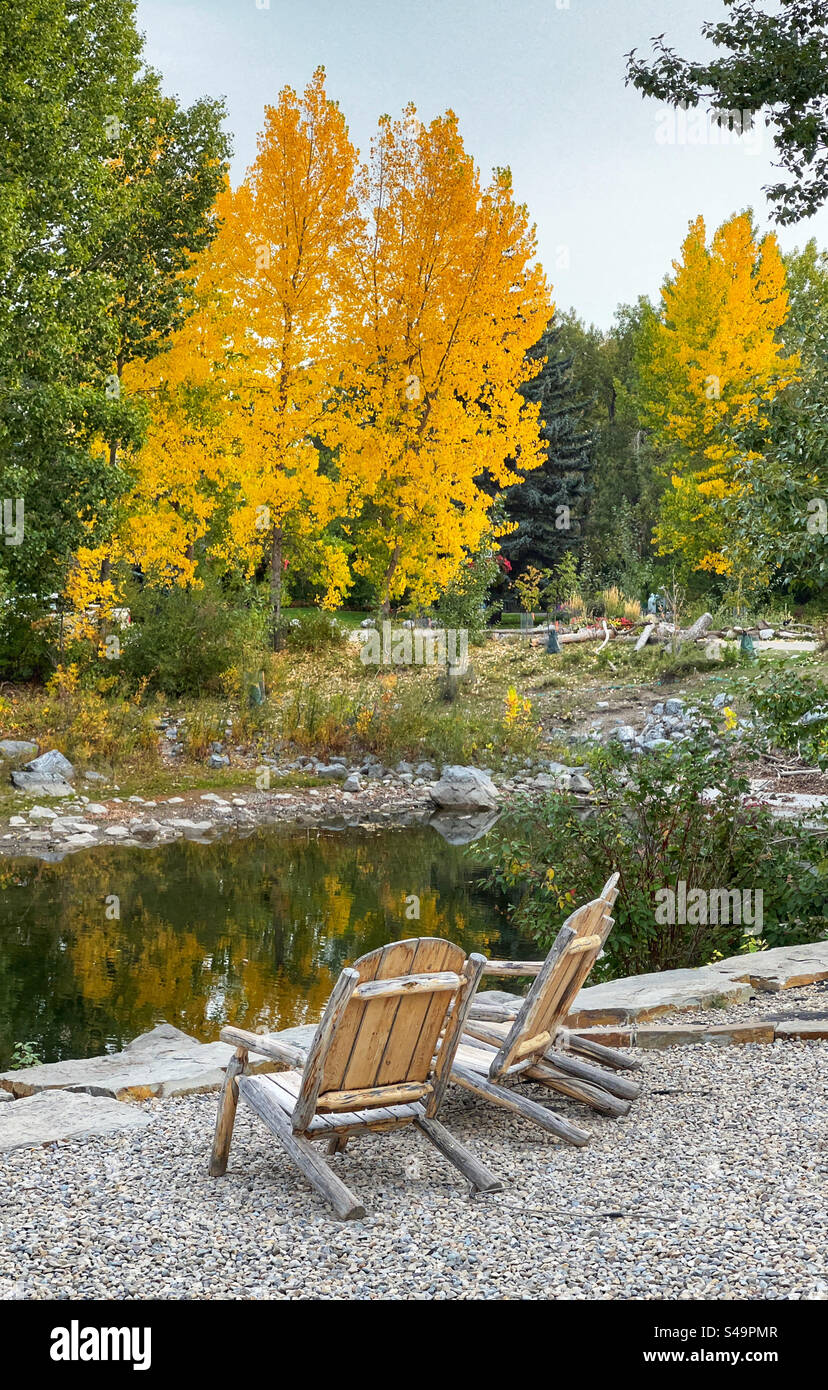 Couleurs d’automne, reflet du feuillage d’arbres d’automne au parc Prince’s Island, Calgary, Alberta, Canada. Banque D'Images