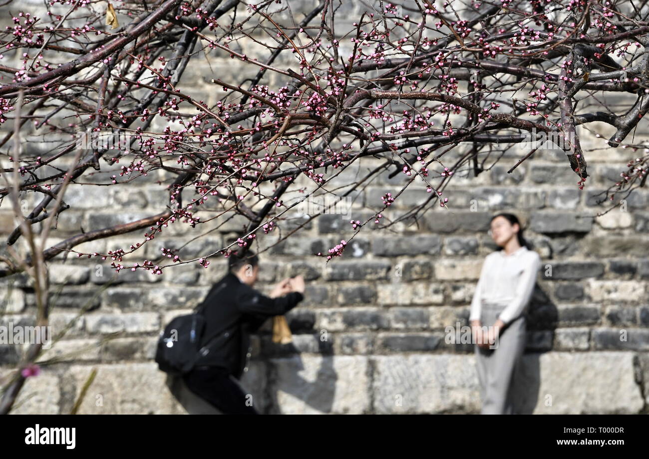 Beijing, Chine. Mar 16, 2019. Un touriste pose pour des photos à la dynastie des Ming (1368-1644) mur de la ville Parc des reliques à Beijing, capitale de Chine, le 16 mars 2019. Crédit : Li Xin/Xinhua/Alamy Live News Banque D'Images