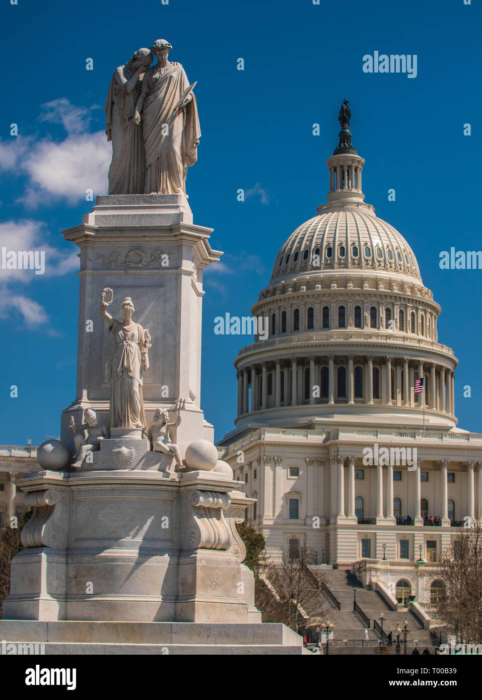 Le United States Capitol Banque D'Images