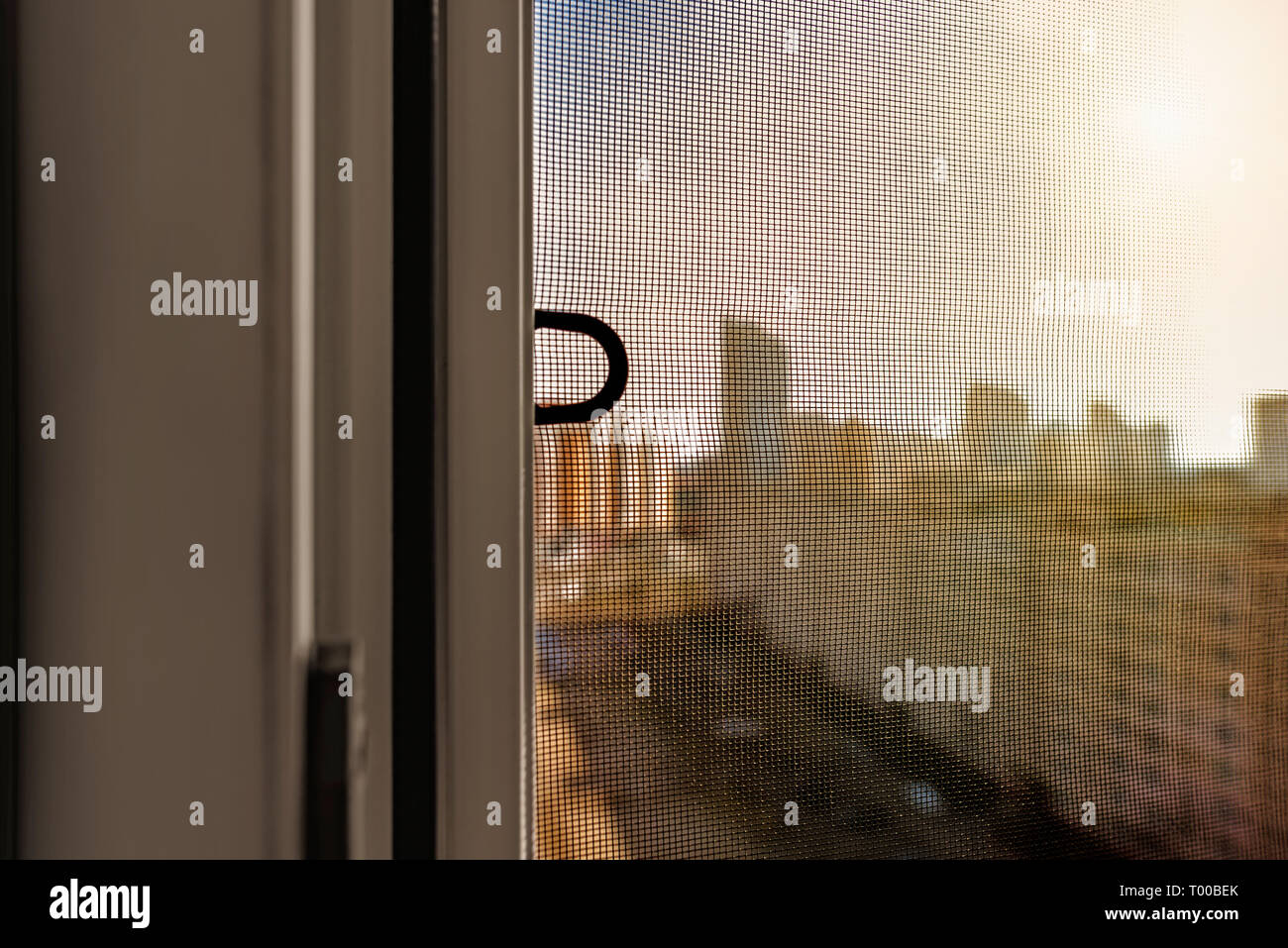 Fenêtre ouverte avec une moustiquaire pour empêcher les insectes et les insectes, comme les mouches, les abeilles, les moustiques ou les guêpes d'entrer Banque D'Images