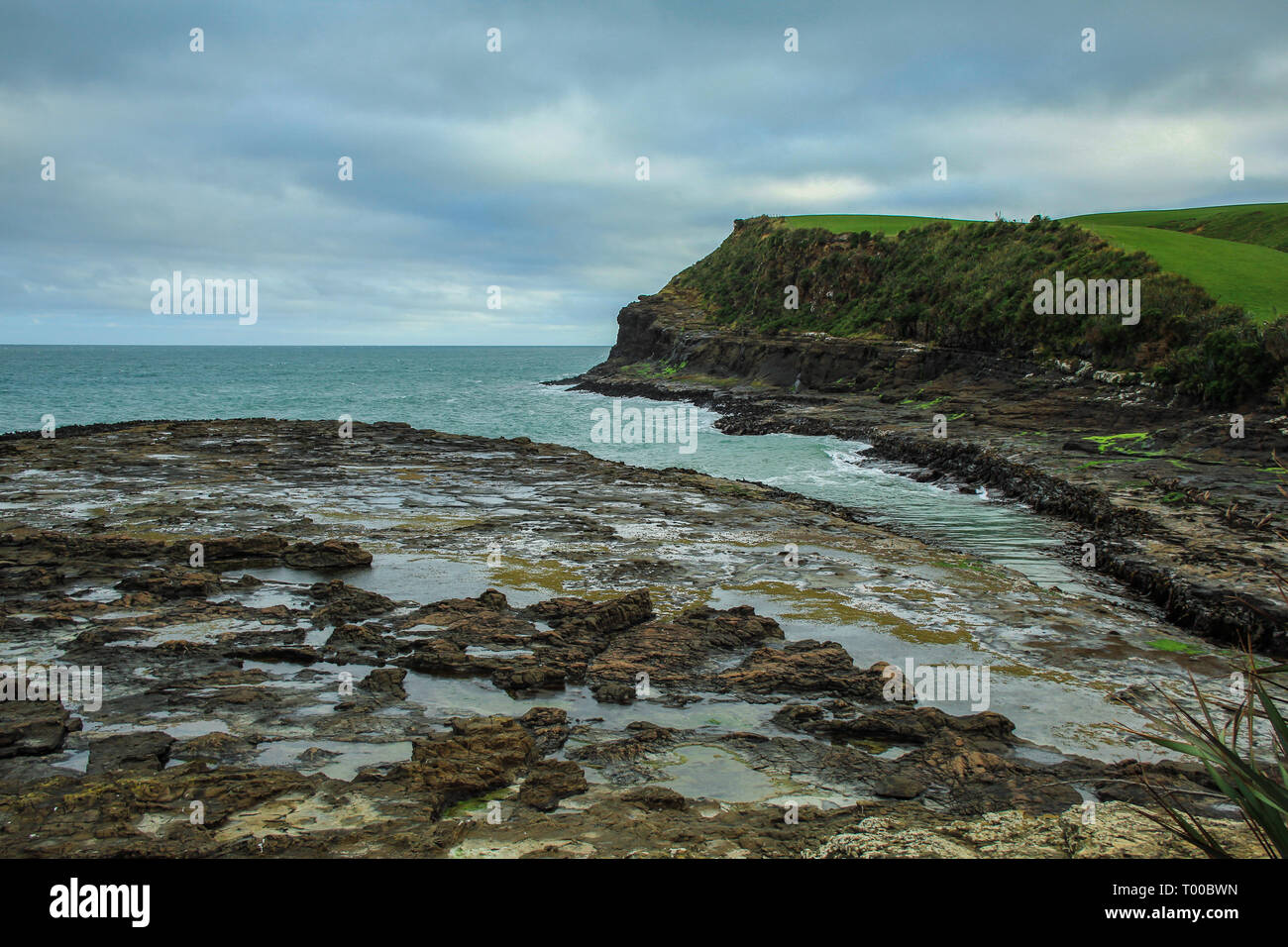 Curio Bay dans la région de Southland, vue sur l'ancienne forêt pétrifiée à la Catlins, île du Sud, Nouvelle-Zélande Banque D'Images