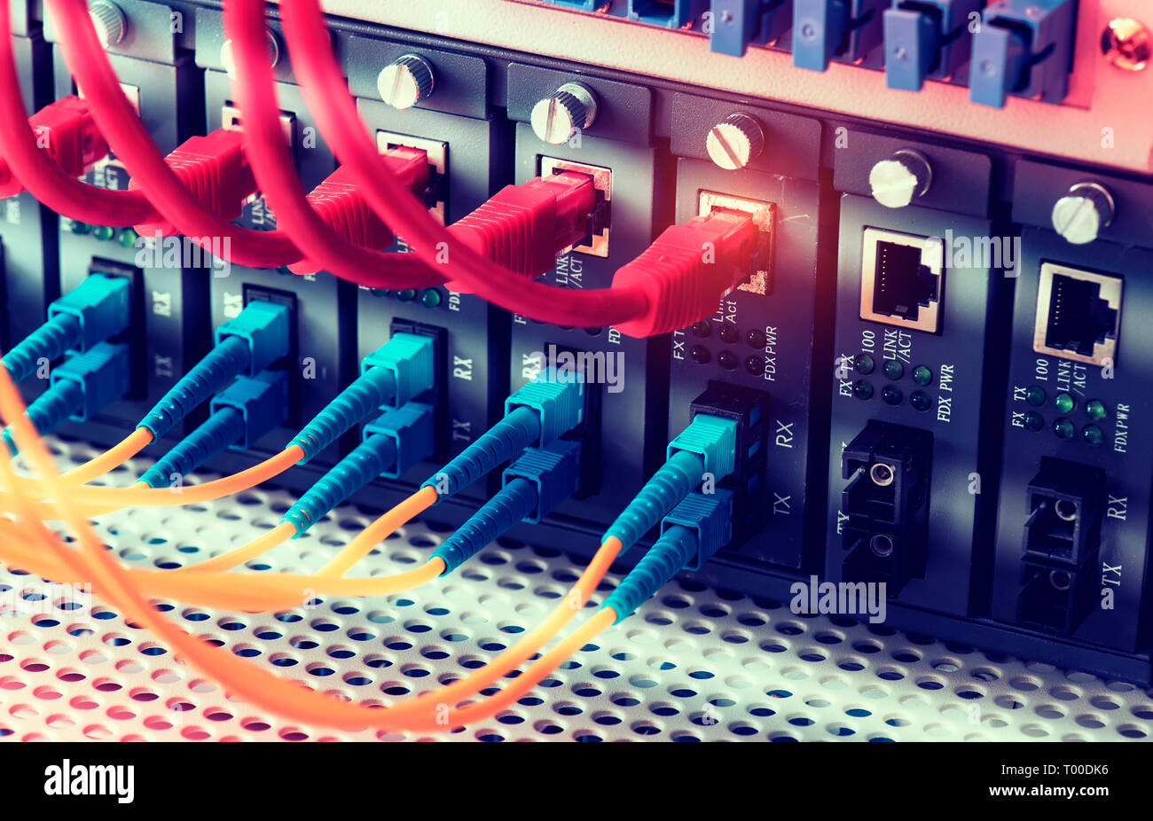 Les câbles à fibre optique connecté à un réseau de ports optiques et câbles connectés aux ports ethernet Banque D'Images