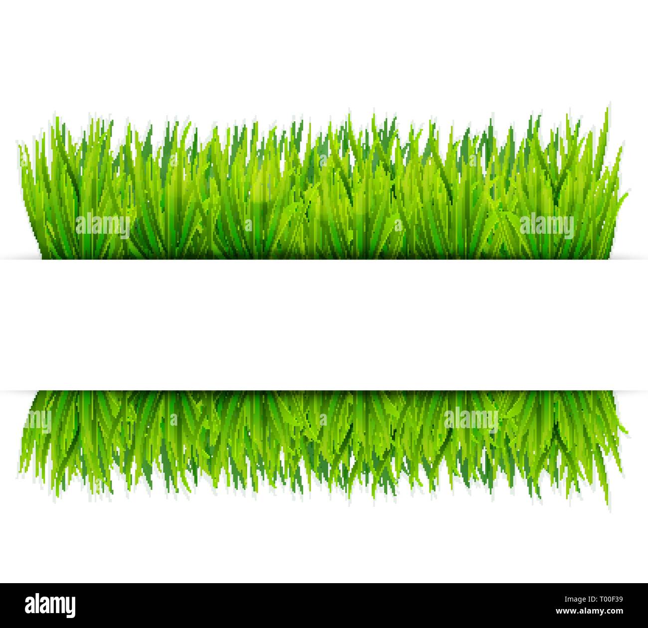 Bannière de l'herbe verte. Vector background Illustration de Vecteur