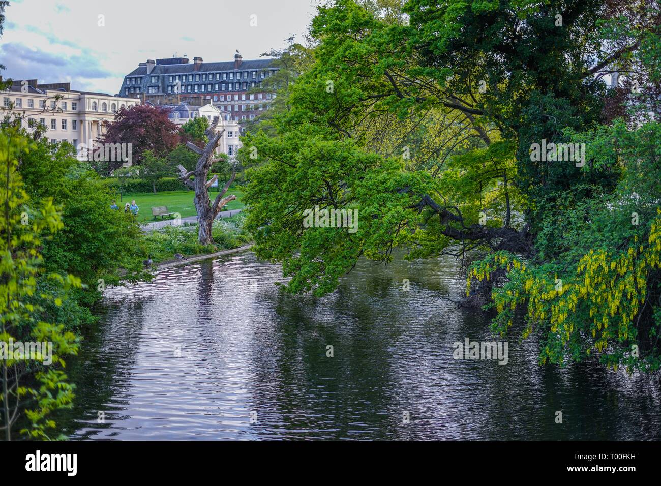 Regents Park à Londres Banque D'Images