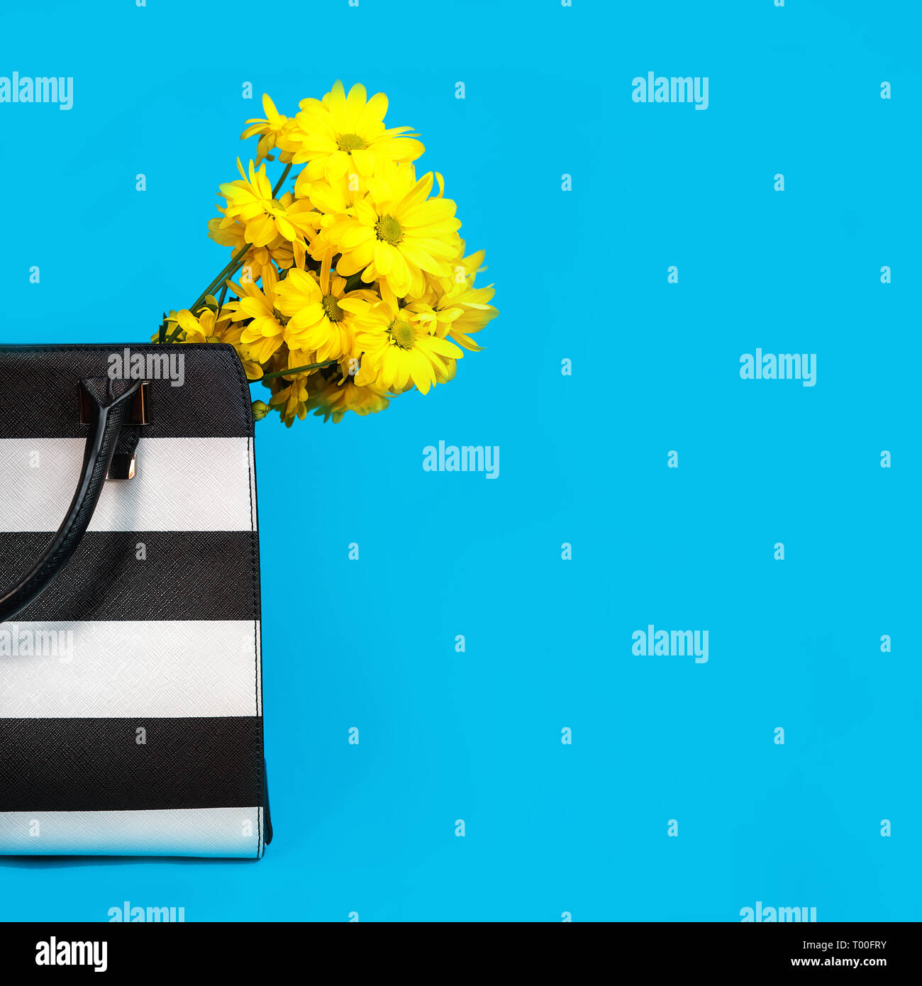 Belles fleurs jaune et noir et blanc femelle branché sac sur fond bleu. Banque D'Images