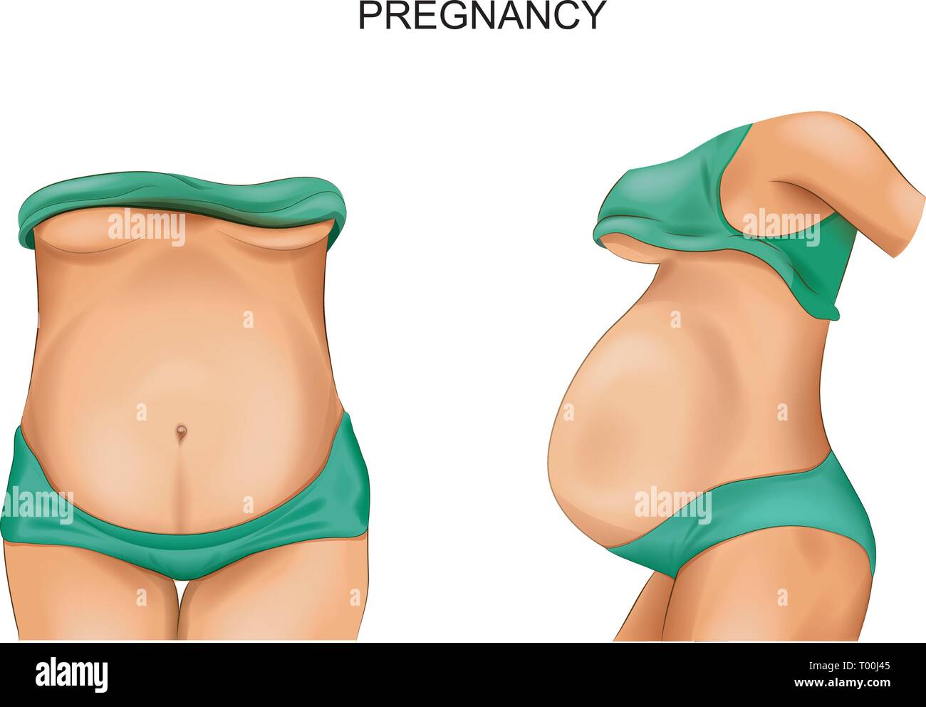 Vector illustration d'une femme enceinte. pregnant belly Illustration de Vecteur