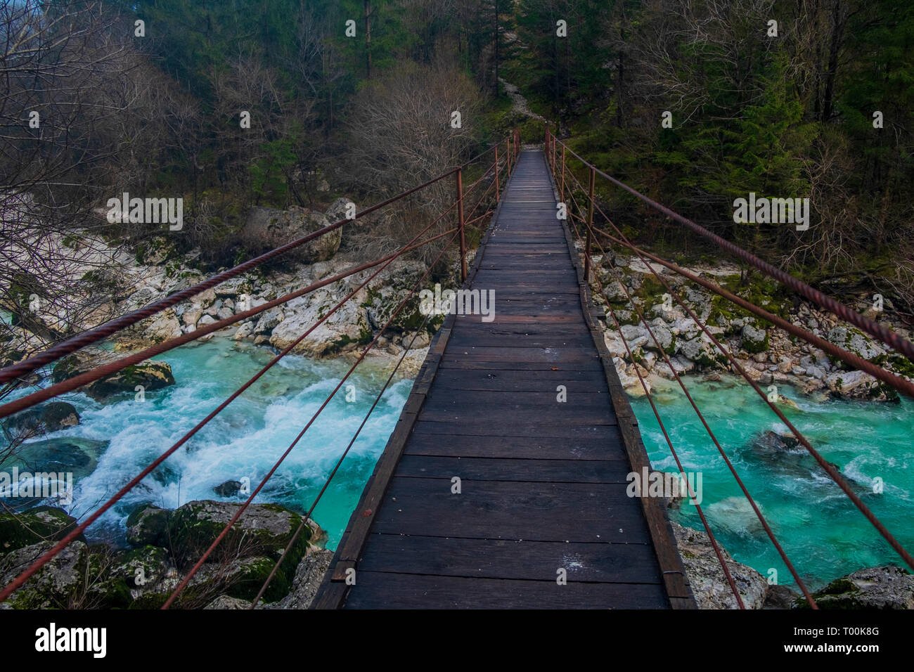 La rivière Soca. Parc National de Triglav. La Slovénie Banque D'Images